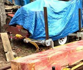 Кедр бревно - модель 2