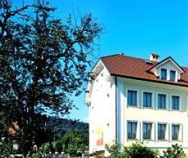 Керамическая черепица рядовая черепица - тип 2