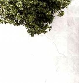 Керамогранит 600х600 полированный бежевый - тип 4