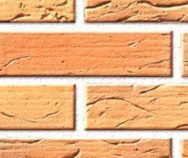 Кирпич облицовочный 250х60х65 - вариант 3