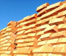 Кирпич рядовой полнотелый м 100 - тип 3