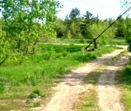 Китайские шлагбаумы - вариант 4