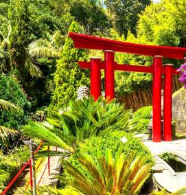 Китайский ландшафтный дизайн - вариант 4