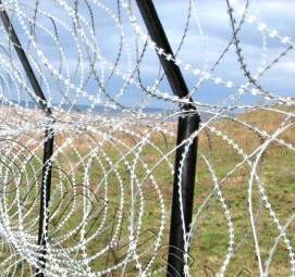 Колючая проволока АКЛ 500 - вариант 2