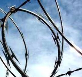 Колючая проволока круглая - модель 1