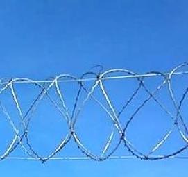 Колючая проволока спиралью - вариант 2