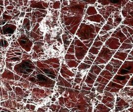 Композитный мраморный шпон - тип 3