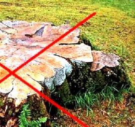 Корчевание пней на участке - тип 3