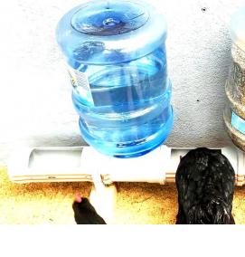 Кормушка для кур - вариант 3