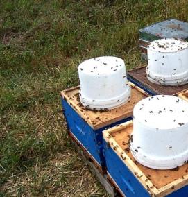 Кормушка для пчел - модель 2