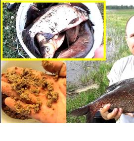 Кормушки на карпа карася - тип 4