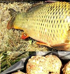 Кормушки на карпа карася - тип 3