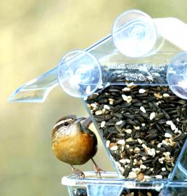 Кормушки - тип 2