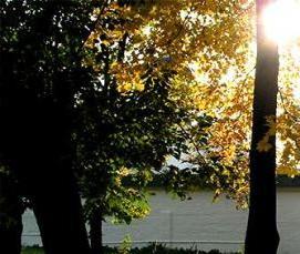 Королевские винтовые сваи - модель 2