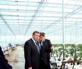 Костромские теплицы - вариант 3