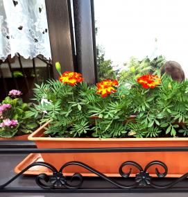 Кованые подоконники - модель 1