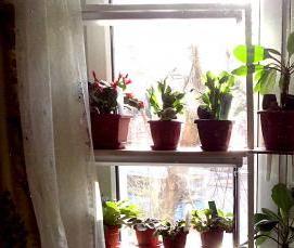 Кованый подоконник для цветов - тип 1