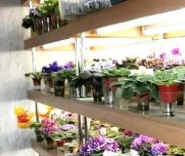 Кованый подоконник для цветов - тип 4