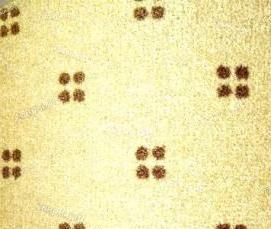 Ковролин 1 м - модель 3