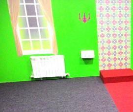 Ковролин Эхо - модель 1