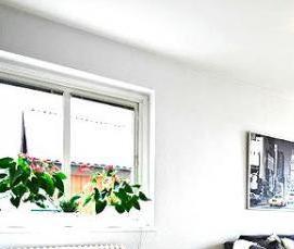 Ковролин ФлорТ Экспо - модель 3