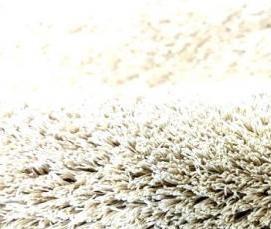 Ковролин ФлорТ Офис - вариант 4