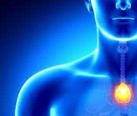 Ковролин ФлорТ Офис - вариант 2