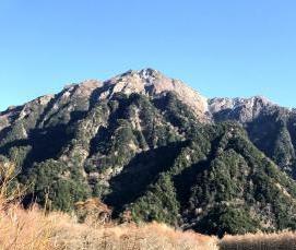 Ковролин Fльпы - вариант 1