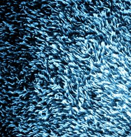 Ковролин голубой - тип 3