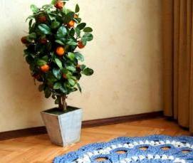 Ковролин Прованс - тип 2