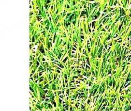 Ковролин Трава - вариант 2