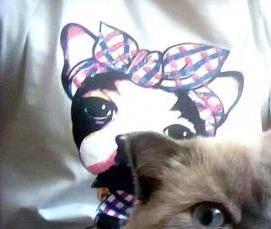 Ковролин Виктория - тип 1