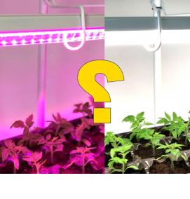 Красная лампа для рассады - вариант 4