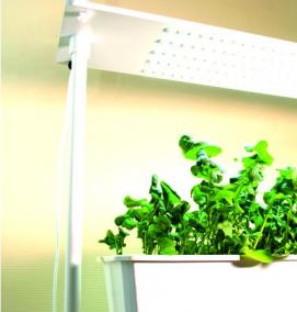 Красная лампа для рассады - вариант 3