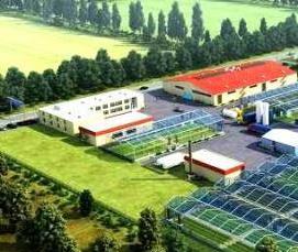 Краснодарские теплицы - модель 3