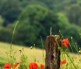 Красный теплый пол - тип 2