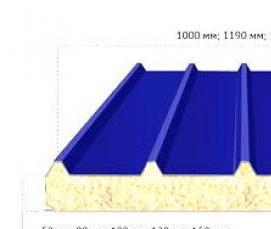 Кровельная сэндвич-панель 100 мм - вариант 1