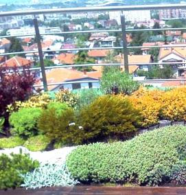 Кровельное озеленение - вариант 4