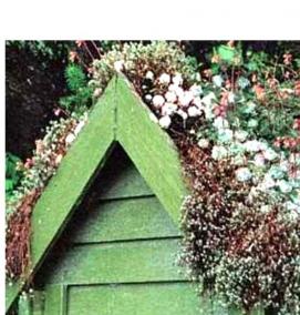 Кровельное озеленение - вариант 3