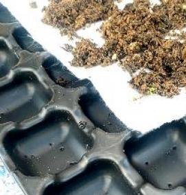 Кровельный субстрат - модель 1