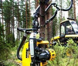 Круглое бревно - вариант 3