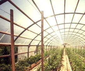 Круглогодичная теплица - вариант 3