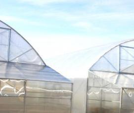 Круглогодичная теплица - вариант 2