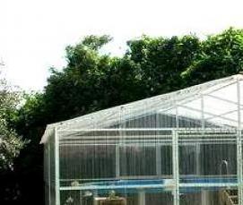 Крытые теплицы - вариант 2