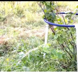 Кустодержатель для кустов - модель 3