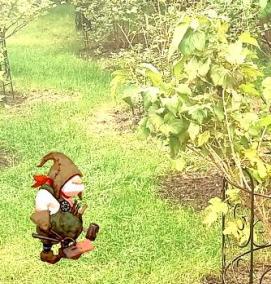 Кустодержатель для кустов - модель 2