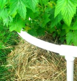 Кустодержатель из пропиленовой трубы - вариант 4