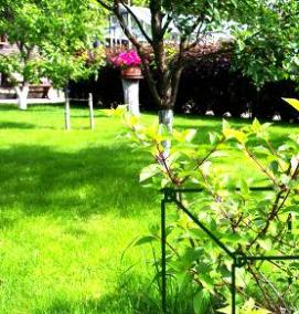 Кустодержатель полудуги - модель 1