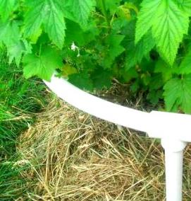 Кустодержатель стекловолокно - вариант 2