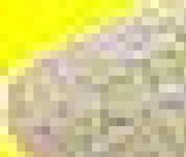 Кварцевый песок 0 4 0 8 - вариант 4